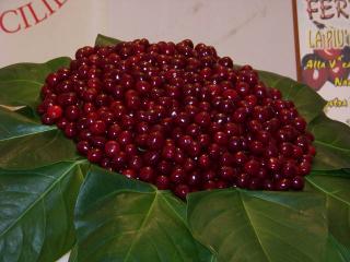 Immagine allegata alla scheda. Per averne una descrizione leggere i dettagli più in basso.